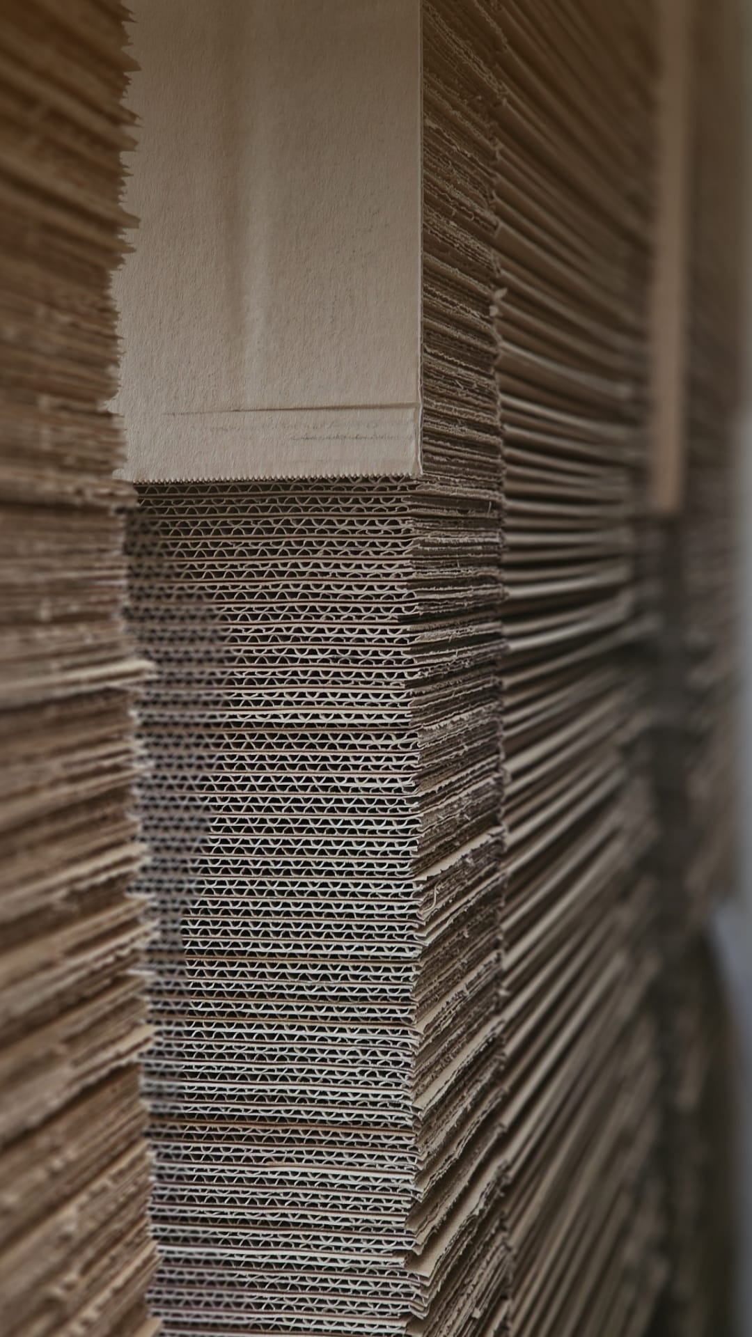 Separator Carton detaliu